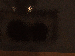 SurveyImage_17_03.png