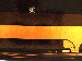 SurveyImage_19_02.png