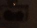 SurveyImage_21_03.png