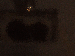 SurveyImage_22_03.png