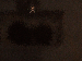 SurveyImage_24_03.png