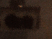 SurveyImage_25_03.png