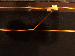 SurveyImage_25_04.png
