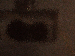 SurveyImage_26_03.png