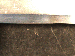 SurveyImage_29_06.png