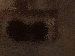 SurveyImage_07_03.png