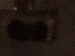 SurveyImage_08_03.png