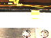 SurveyImage_12_01.png
