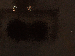 SurveyImage_12_03.png