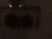 SurveyImage_13_03.png