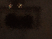 SurveyImage_15_03.png