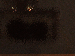 SurveyImage_17_03.png