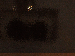 SurveyImage_18_03.png