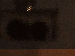SurveyImage_21_03.png