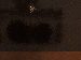SurveyImage_22_03.png