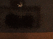 SurveyImage_24_03.png