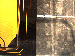 SurveyImage_28_02.png