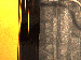 SurveyImage_28_03.png