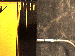SurveyImage_28_04.png