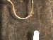 SurveyImage_29_03.png