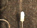 SurveyImage_29_04.png