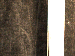 SurveyImage_30_03.png