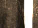 SurveyImage_30_04.png