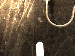 SurveyImage_01_03.png