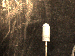SurveyImage_01_04.png