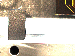 SurveyImage_02_01.png