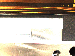 SurveyImage_05_01.png