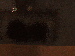 SurveyImage_11_03.png