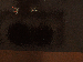 SurveyImage_12_03.png