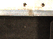 SurveyImage_12_06.png