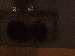 SurveyImage_13_03.png