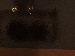 SurveyImage_14_03.png