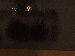 SurveyImage_15_03.png
