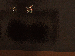 SurveyImage_16_03.png