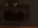 SurveyImage_17_03.png