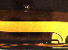 SurveyImage_19_02.png