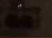 SurveyImage_19_03.png