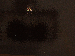 SurveyImage_20_03.png