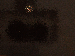 SurveyImage_21_03.png