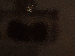 SurveyImage_23_03.png