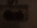 SurveyImage_25_03.png
