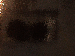 SurveyImage_03_03.png