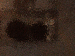 SurveyImage_06_03.png