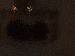 SurveyImage_12_03.png