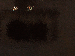 SurveyImage_13_03.png