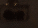 SurveyImage_14_03.png